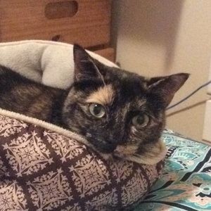 Meet your Posher, Sophie